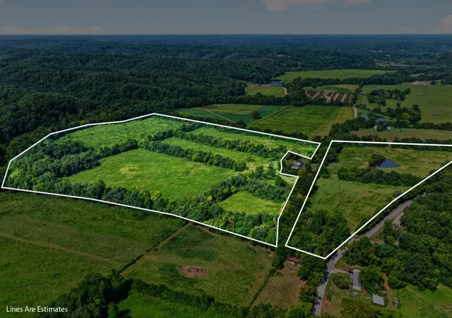 Photo 2 of Land for sale at 160 Backside Beaverdam Road, Centerville, TN 37033 | MLS# 3520888 | Listing updated on 2026-10-08