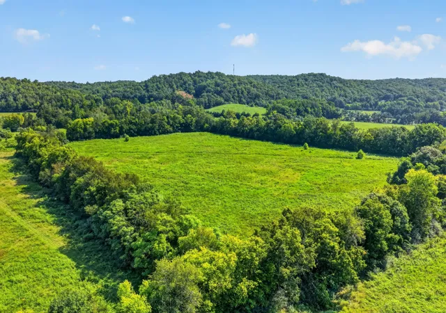 Photo 3 of Land for sale at 160 Backside Beaverdam Road, Centerville, TN 37033 | MLS# 3520888 | Listing updated on 2026-10-08