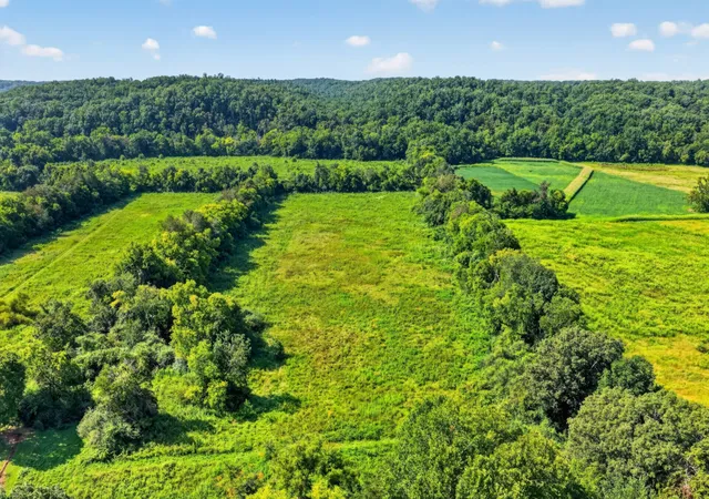 Photo 4 of House for sale at 160 Backside Beaverdam Road, Centerville, TN 37033 | MLS# 3520888 | Listing updated on 2026-10-08