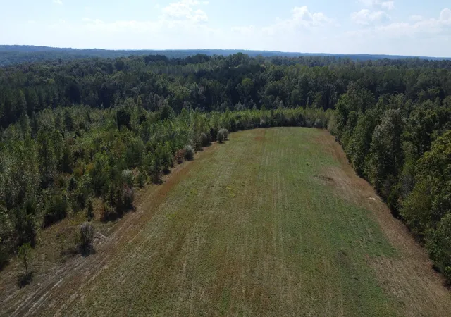 Land for sale at 50 Lewis Rd, Spencer, TN 38585 | MLS# 3520916