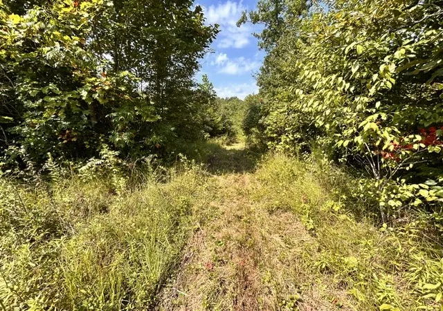 4th image of 50 Lewis Rd, Spencer, TN 38585 | MLS# 3520916