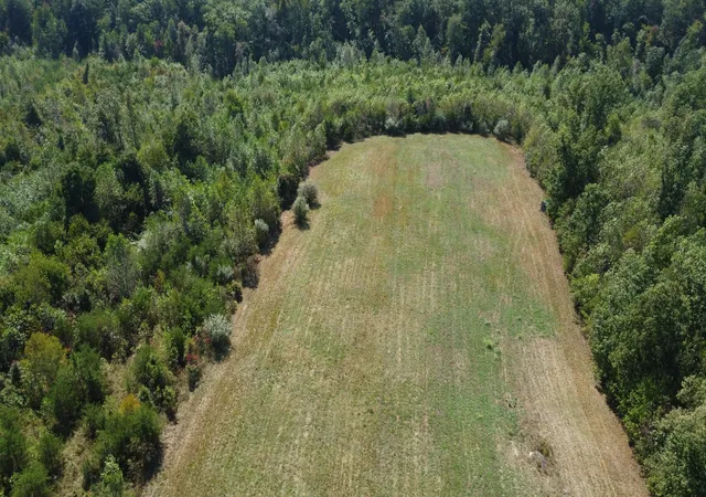 Photo 4 of Land for sale at 50 Lewis Rd, Spencer, TN 38585 | MLS# 3520916 | Listing updated on 2026-10-05