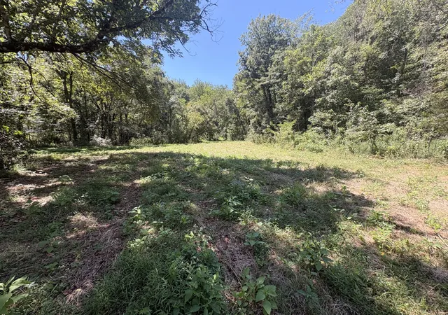 48th image of 0 Dog Branch Rd, Prospect, TN 38477 | MLS# 3524712