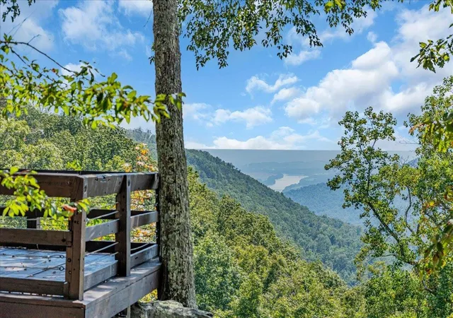 100th image of 1625 River Bluffs Dr, Jasper, TN 37347 | MLS# 3520978