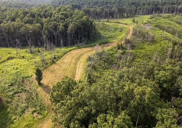 Photo 3 of Land for sale at 0 Hwy 230, Waverly, TN 37185 | MLS# 3521053 | Listing updated on 2026-09-06