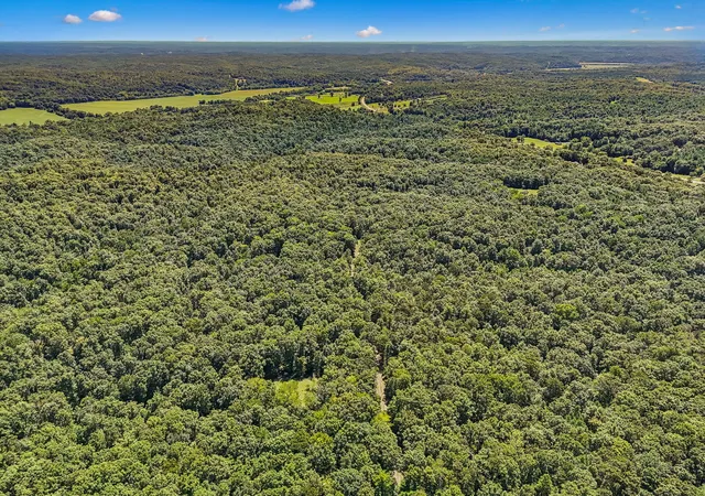 Photo 4 of Land for sale at 0 Hwy 230, Waverly, TN 37185 | MLS# 3521053 | Listing updated on 2026-09-06