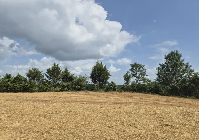 3rd image of 2153 Jefferson Rd, Smithville, TN 37166 | MLS# 3521073