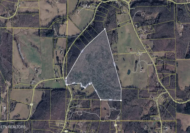 57th image of 2 Moss Rd, Philadelphia, TN 37846 | MLS# 3523598