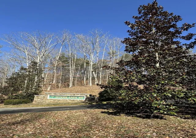 4th image of 0 Fox Trail Dr, Old Fort, TN 37362 | MLS# 3523622