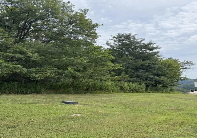 Photo 2 of Land for sale at 0 Shayna Ct, Smithville, TN 37166 | MLS# 3527477 | Listing updated on 2026-08-31