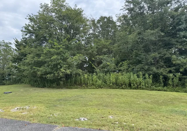 Photo 5 of Land for sale at 0 Shayna Ct, Smithville, TN 37166 | MLS# 3527477 | Listing updated on 2026-08-31