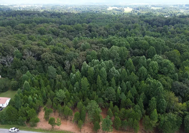 9th image of 0 A Street, Hillsboro, TN 37342 | MLS# 3523732