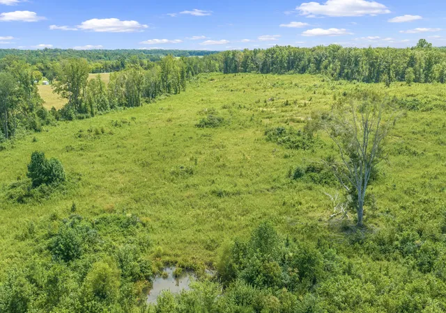 4th image of 6032 Brooksie Thompson Rd, Decaturville, TN 38329 | MLS# 3525600