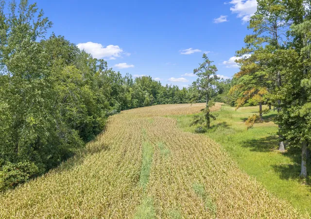 5th image of 6032 Brooksie Thompson Rd, Decaturville, TN 38329 | MLS# 3525600