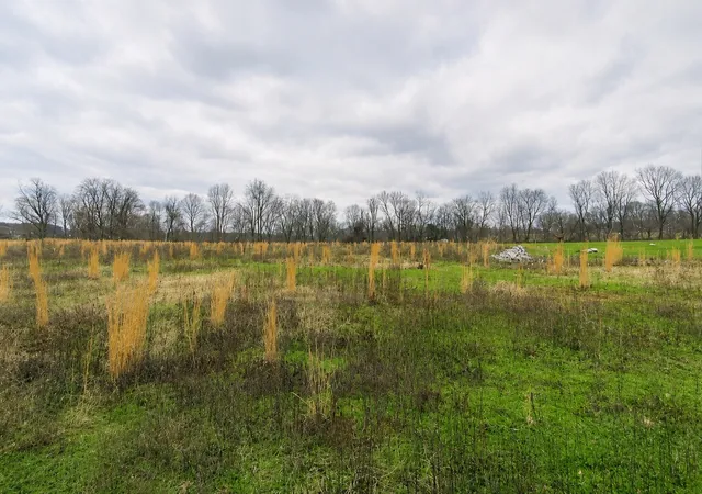 Photo 1 of Land for sale at 3126 Wixtown Rd, Westmoreland, TN 37186 | MLS# 3524761 | Listing updated on 2026-08-24
