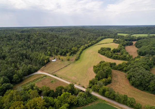 45th image of 11517 Mt Carmel Rd, Decaturville, TN 38329 | MLS# 3526719