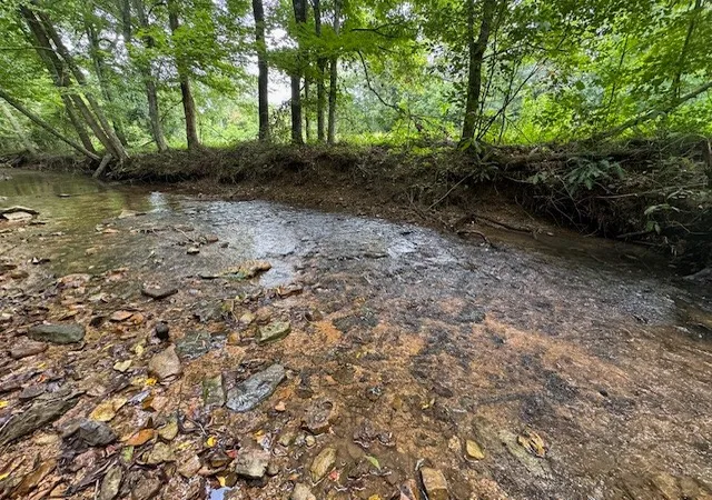 3rd image of 6572 Hassell Creek Rd, Lyles, TN 37098 | MLS# 3525567