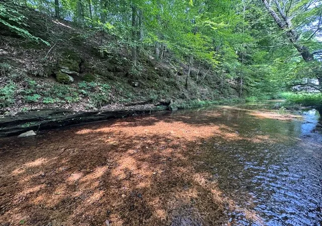 5th image of 6572 Hassell Creek Rd, Lyles, TN 37098 | MLS# 3525567