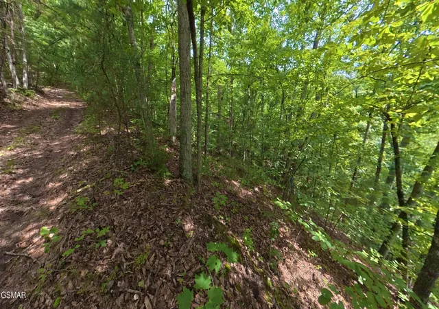 3rd image of 25 Shady Oaks Way, Sevierville, TN 37876 | MLS# 3525577