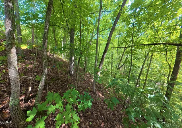 4th image of 25 Shady Oaks Way, Sevierville, TN 37876 | MLS# 3525577
