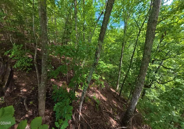5th image of 25 Shady Oaks Way, Sevierville, TN 37876 | MLS# 3525577