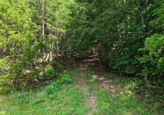 4th image of 26 Shady Oaks Way, Sevierville, TN 37876 | MLS# 3525579