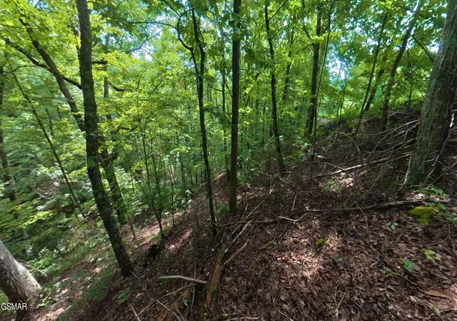 5th image of 26 Shady Oaks Way, Sevierville, TN 37876 | MLS# 3525579