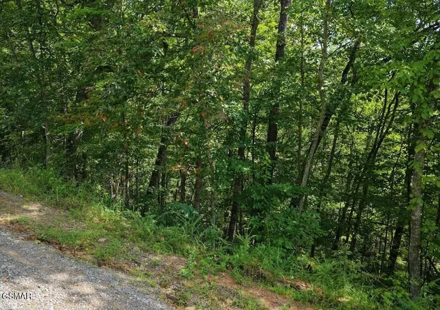 3rd image of 27 Shady Oaks Way, Sevierville, TN 37876 | MLS# 3525582