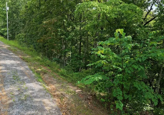 4th image of 27 Shady Oaks Way, Sevierville, TN 37876 | MLS# 3525582