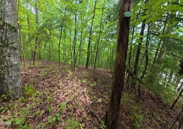 4th image of 41 Shady Oaks Way, Sevierville, TN 37876 | MLS# 3525587