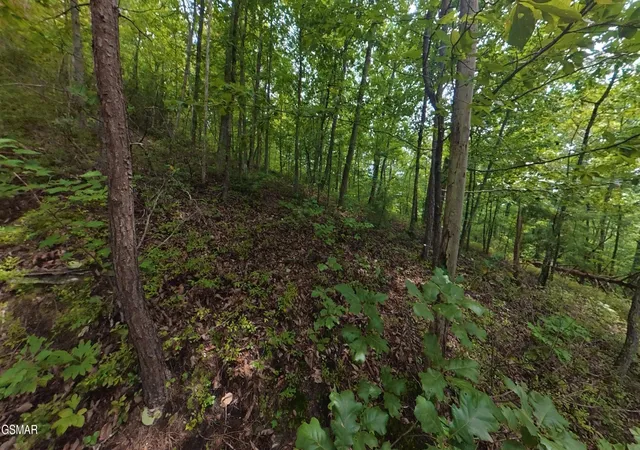 4th image of 42 Shady Oaks Way, Sevierville, TN 37876 | MLS# 3525590