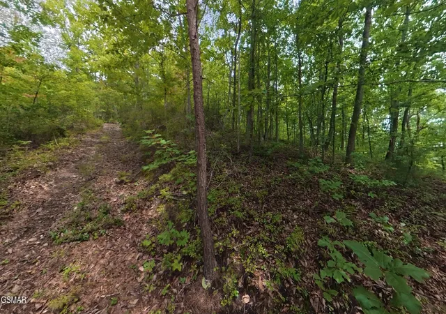 5th image of 42 Shady Oaks Way, Sevierville, TN 37876 | MLS# 3525590