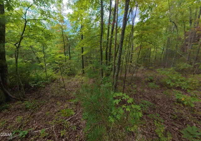 4th image of 44 Shady Oaks Way, Sevierville, TN 37876 | MLS# 3525592