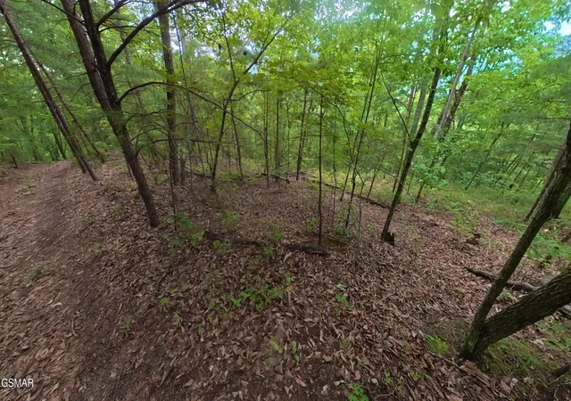 4th image of 43 Shady Oaks Way, Sevierville, TN 37876 | MLS# 3525591