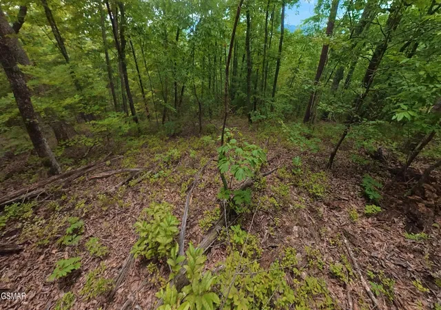 5th image of 43 Shady Oaks Way, Sevierville, TN 37876 | MLS# 3525591