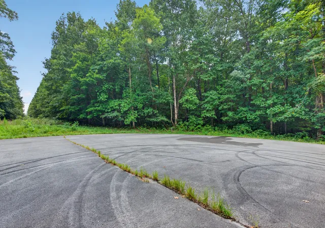 Photo 3 of Land for sale at 0 Rowe Gap Rd, Belvidere, TN 37306 | MLS# 3527460 | Listing updated on 2026-08-28