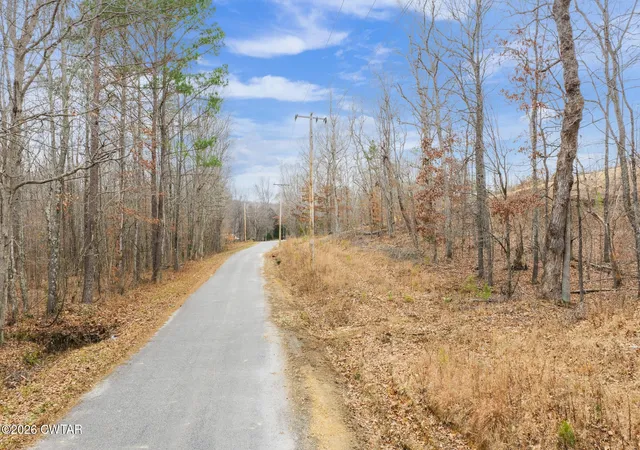2nd image of 0 Rockport Mcillwain Rd, Holladay, TN 38341 | MLS# 3525622