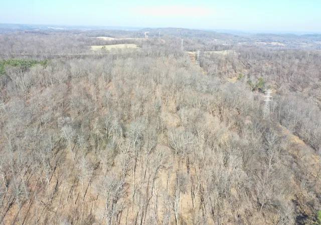 Photo 2 of Land for sale at 0 Dog Branch Rd, Mount Pleasant, TN 38474 | MLS# 3525775 | Listing updated on 2026-08-25