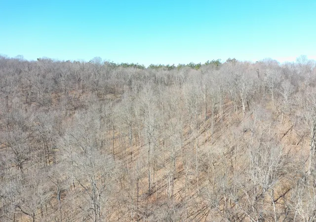Photo 3 of Land for sale at 0 Dog Branch Rd, Mount Pleasant, TN 38474 | MLS# 3525775 | Listing updated on 2026-08-25