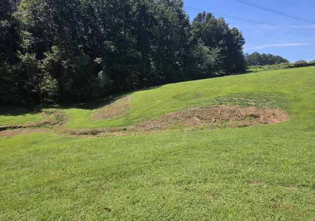 57th image of 6353 Morton Rd, Greenbrier, TN 37073 | MLS# 3525861