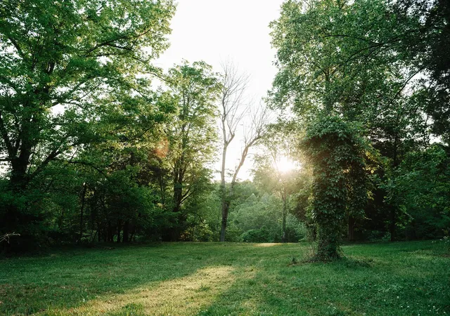 Photo 2 of Land for sale at 1647 Groveland Ridge Rd, Columbia, TN 38401 | MLS# 3526443 | Listing updated on 2026-08-26