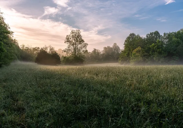 Photo 54 of Land for sale at 1647 Groveland Ridge Rd, Columbia, TN 38401 | MLS# 3526443 | Listing updated on 2026-08-26