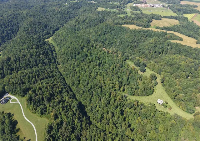 4th image of 0 Wartrace Rd, Red Boiling Springs, TN 37150 | MLS# 3526453