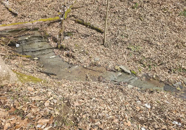 42nd image of 0 Wartrace Rd, Red Boiling Springs, TN 37150 | MLS# 3526453