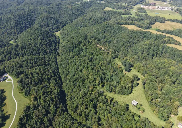5th image of 0 Wartrace Rd, Red Boiling Springs, TN 37150 | MLS# 3526453