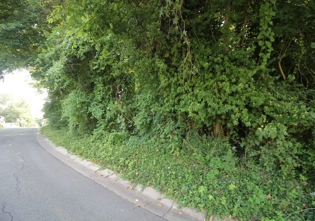 Photo 6 of Land for sale at 0 9th, Clarksville, TN 37040 | MLS# 3526420 | Listing updated on 2026-08-25