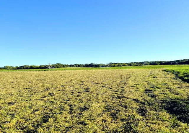 Photo 15 of Land for sale at 8001 Cainsville Road, Lebanon, TN 37090 | MLS# 3526893 | Listing updated on 2026-09-08
