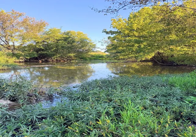 Photo 2 of Land for sale at 8001 Cainsville Road, Lebanon, TN 37090 | MLS# 3526893 | Listing updated on 2026-09-08
