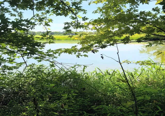 Photo 3 of Land for sale at 8001 Cainsville Road, Lebanon, TN 37090 | MLS# 3526893 | Listing updated on 2026-09-20