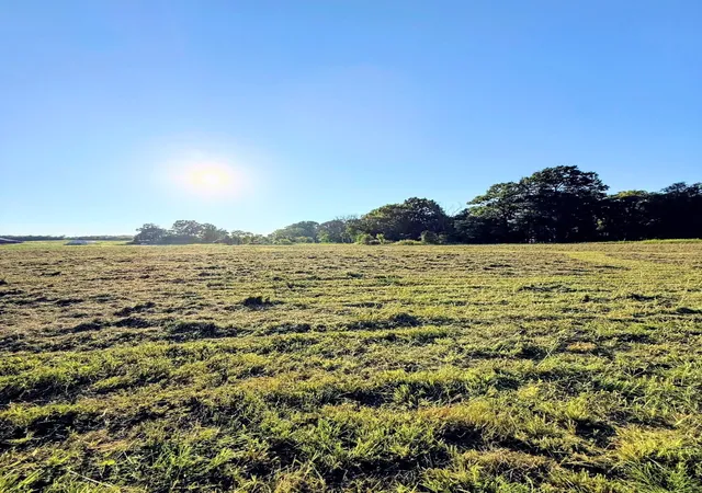Photo 3 of Land for sale at 8001 Cainsville Road, Lebanon, TN 37090 | MLS# 3526893 | Listing updated on 2026-09-08